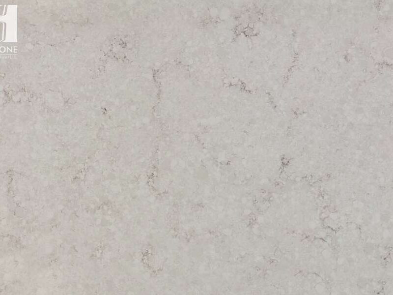 C3146