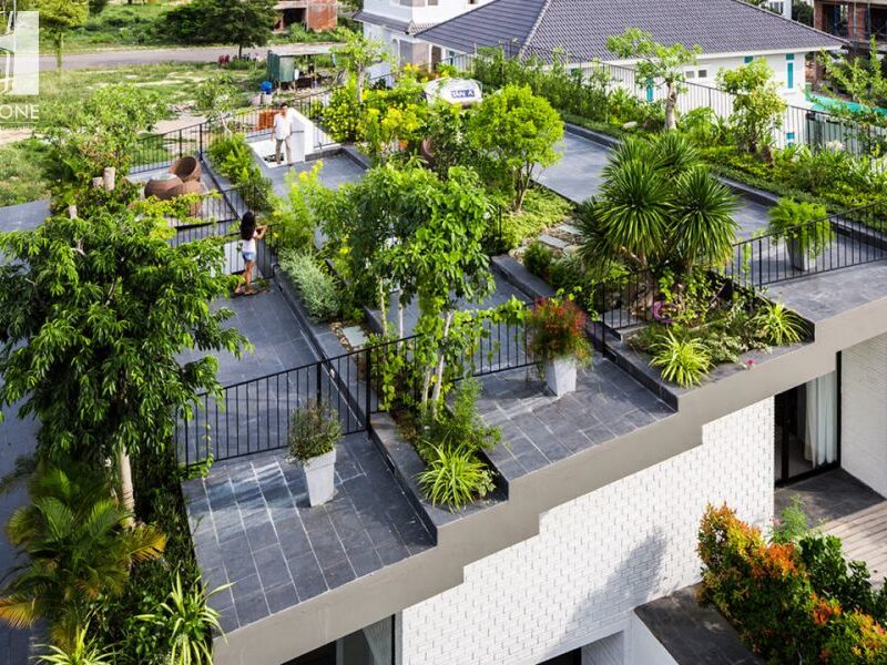 hsstone.vn bluestone6 1