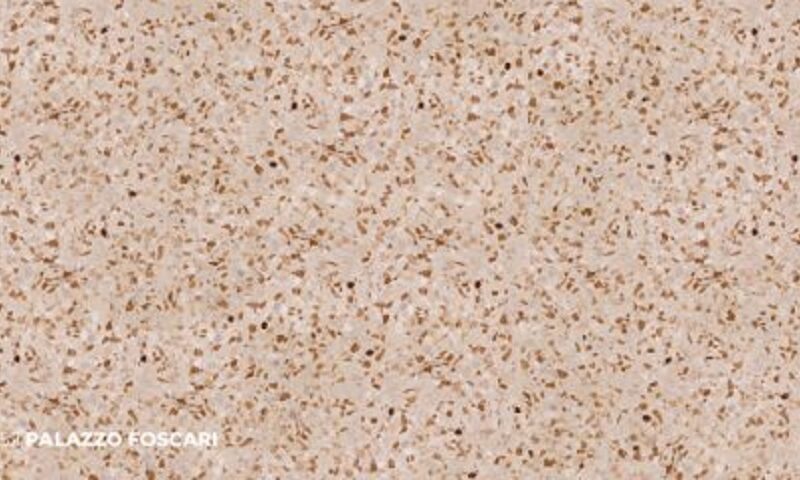 MG3952 Palazzo Foscari 1