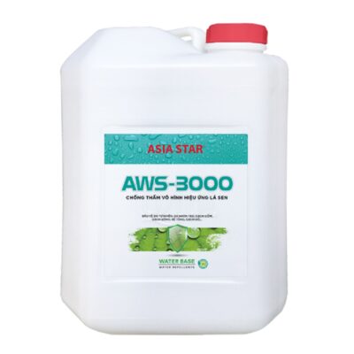 AWS 3000