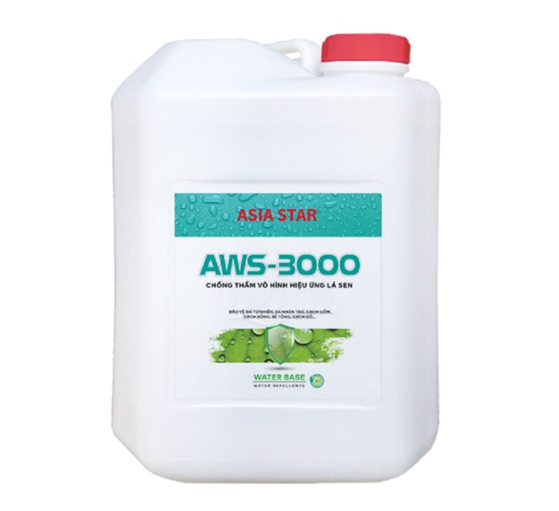 AWS 3000