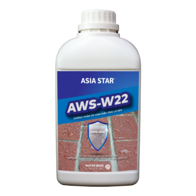 AWS W22