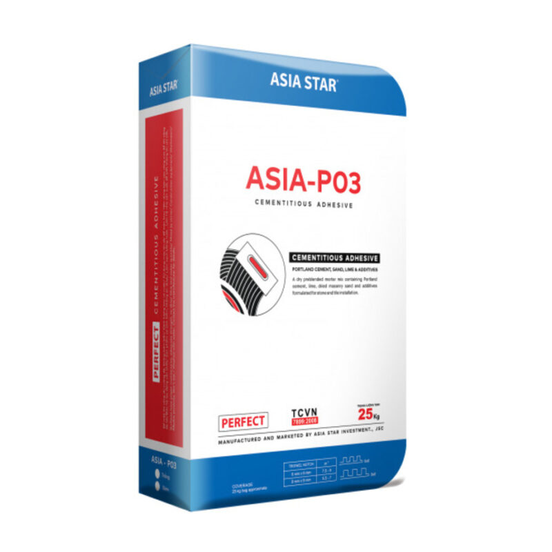 PERFECT ASIA   P03