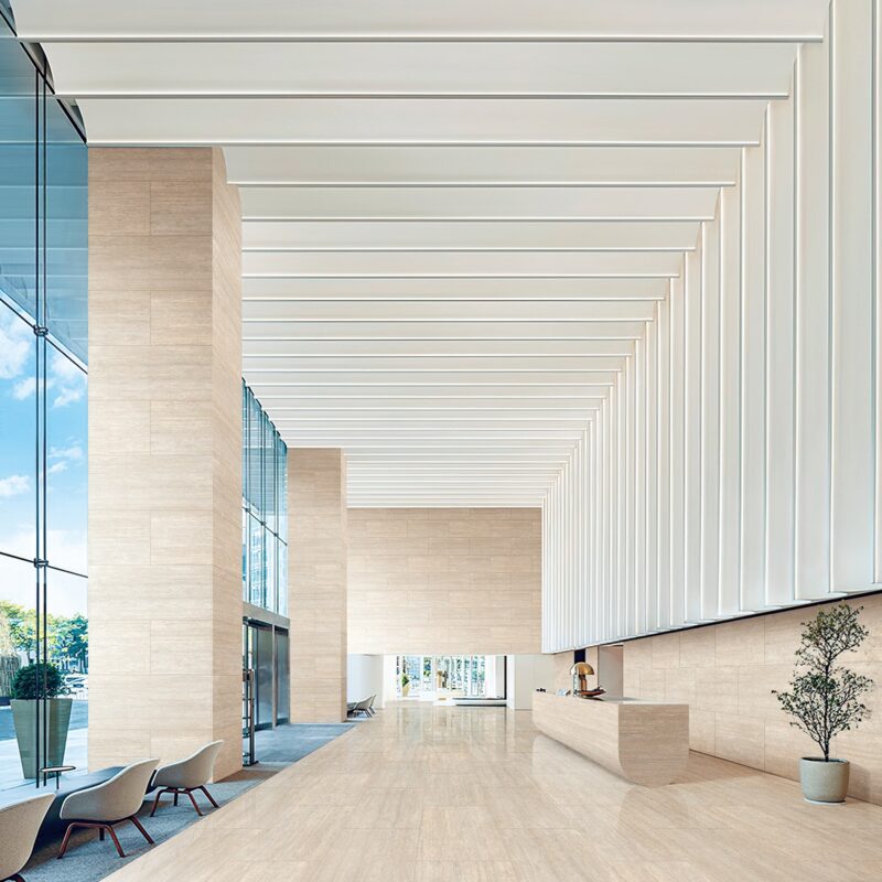 罗马浅黄 YTPD1260022M Effect pictures