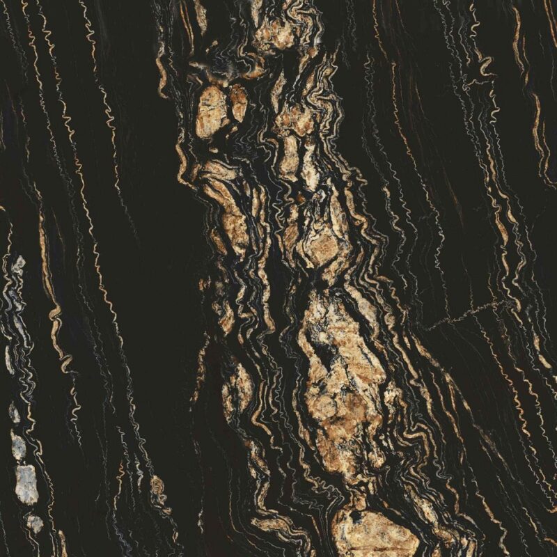 fossil noir 1