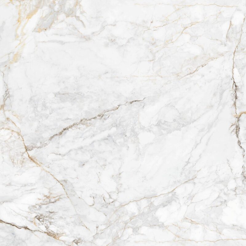 CALACATA GOLD 120x120