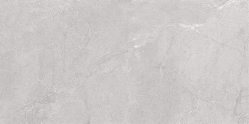 CASPER SILVER 60x120 Matt Digital 1