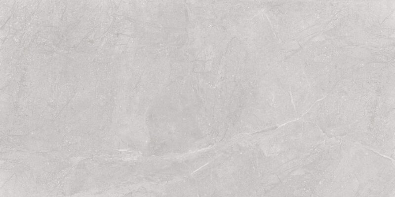 CASPER SILVER 60x120 Matt Digital