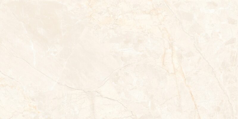 CORAL IVORY 60x120