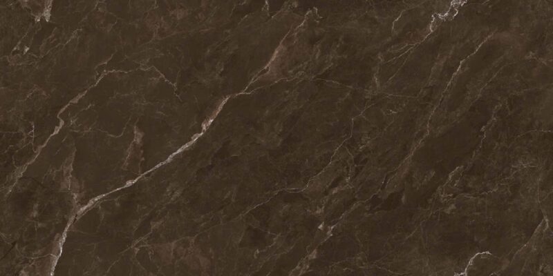 Coralito Brown 60x120 High Gloss 1