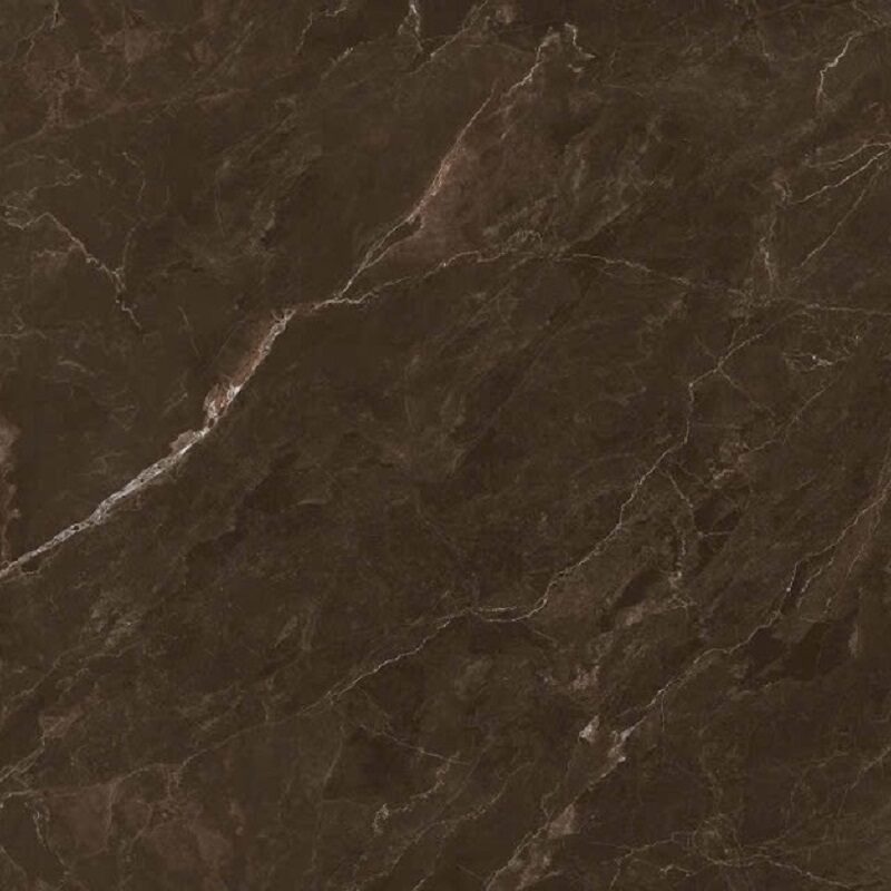 Coralito Brown 60x120 High Gloss 1