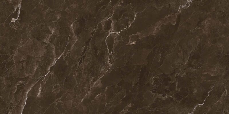 Coralito Brown 60x120 High Gloss