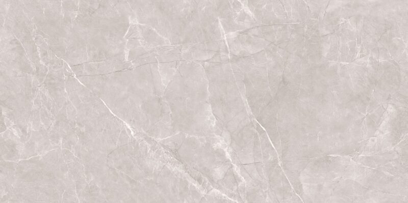 ENDLESS TRILLIUM GREY 80x160 Polished 1