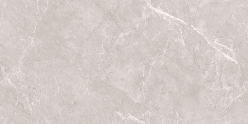 ENDLESS TRILLIUM GREY 80x160 Polished