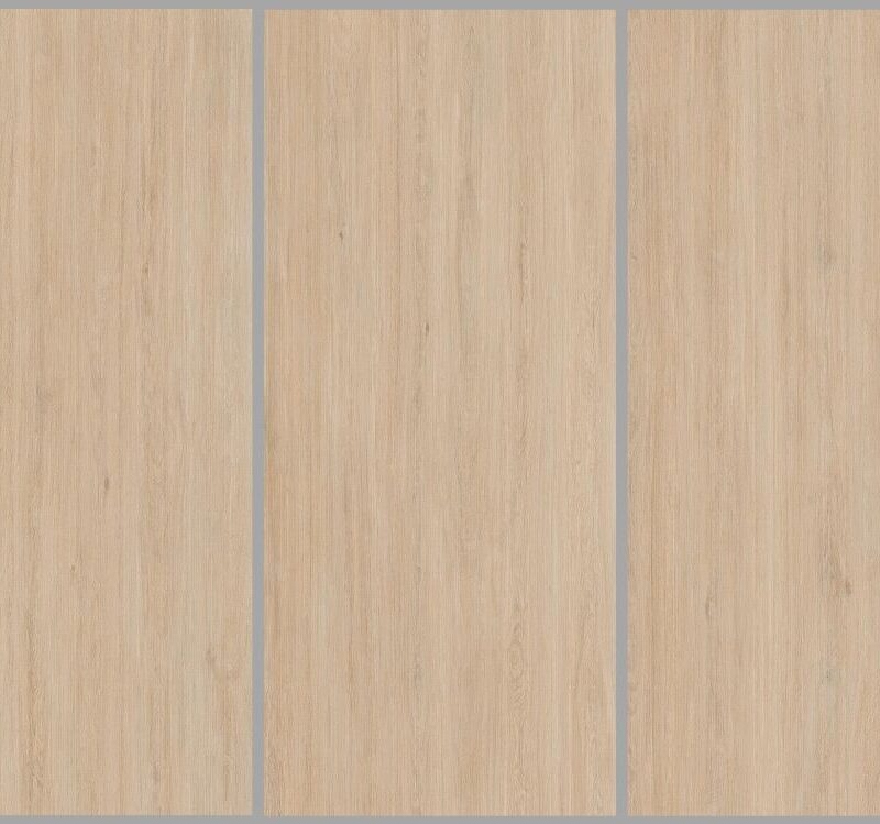 Enoki kinobi 100x300