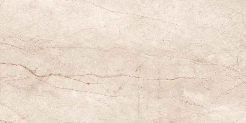 RAIN FOREST WHITE 60x120