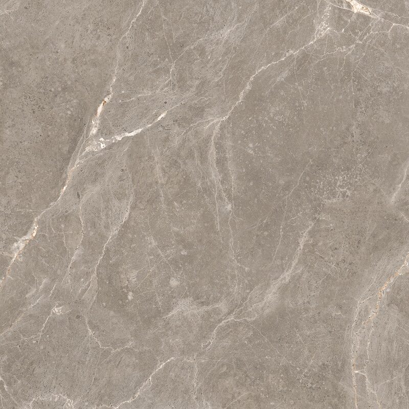 SARA MUSK 60x120 Matt Caving