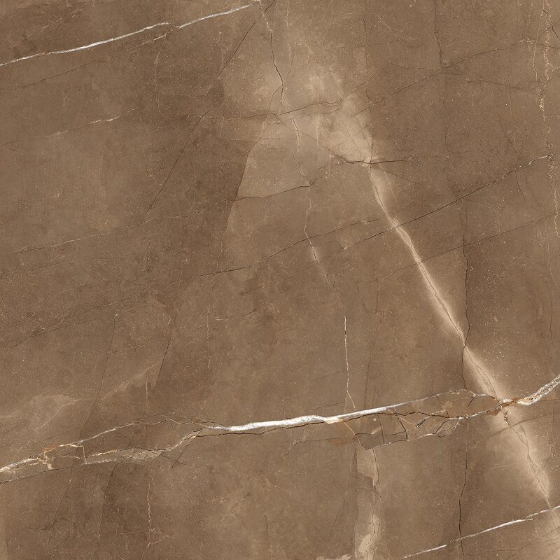 SUPERB ARMANI BROWN 60x120 1