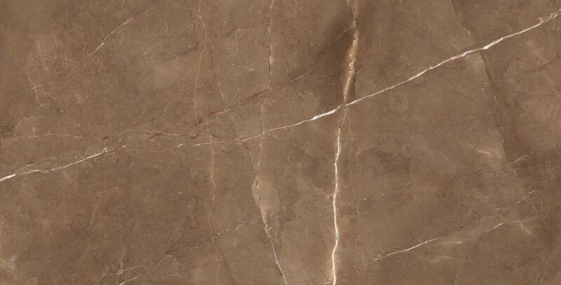 SUPERB ARMANI BROWN 60x120