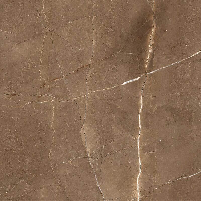 SUPERB ARMANI BROWN 60x120