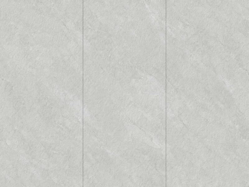 italian puss grey 4