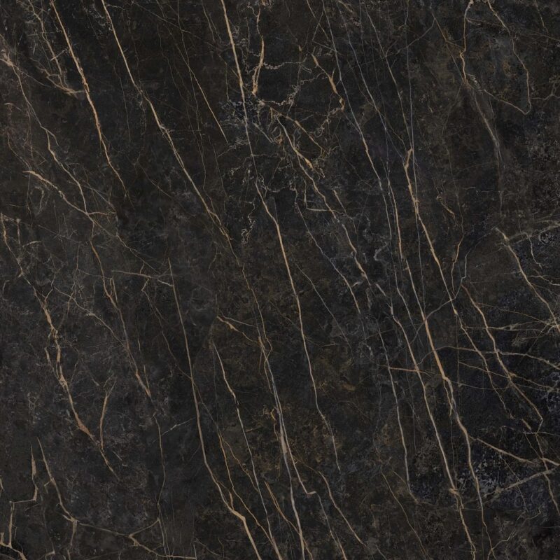 Black Obsession Fusion