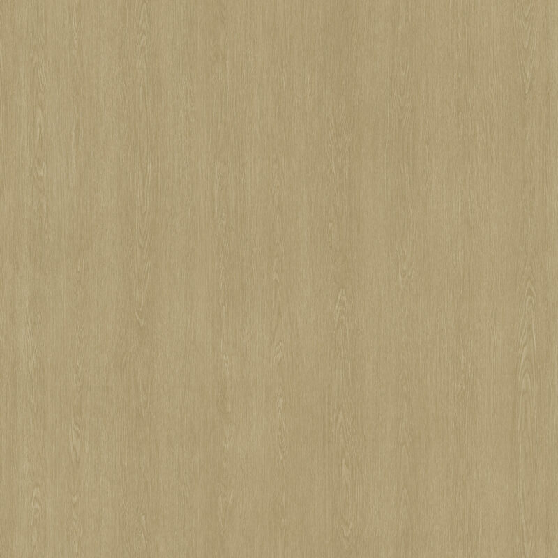 CG CF 5500 Oak English Light 1