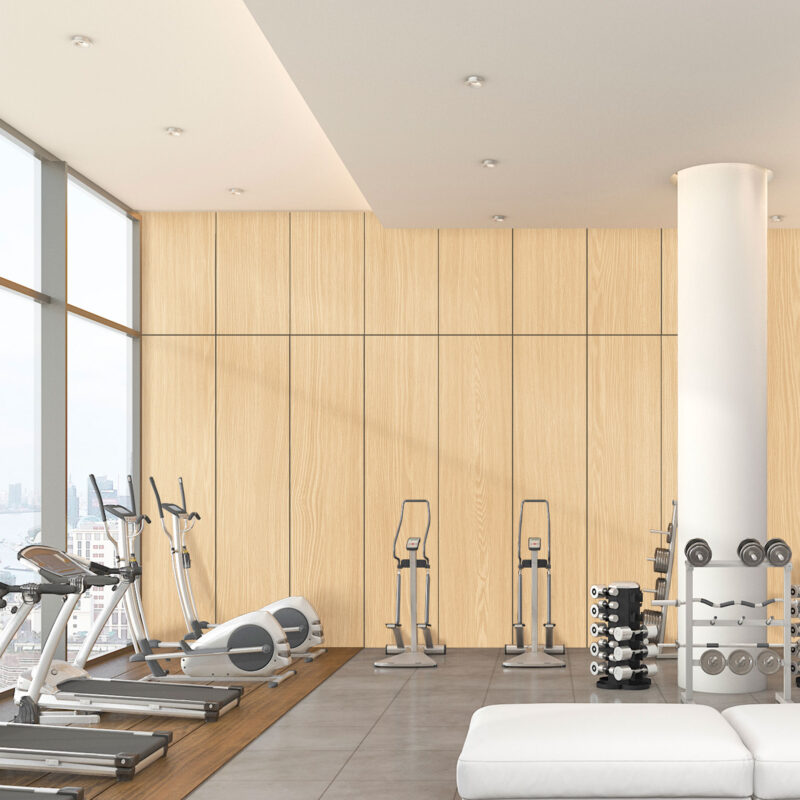 CG CF 5513 Ash Light Preview 3D