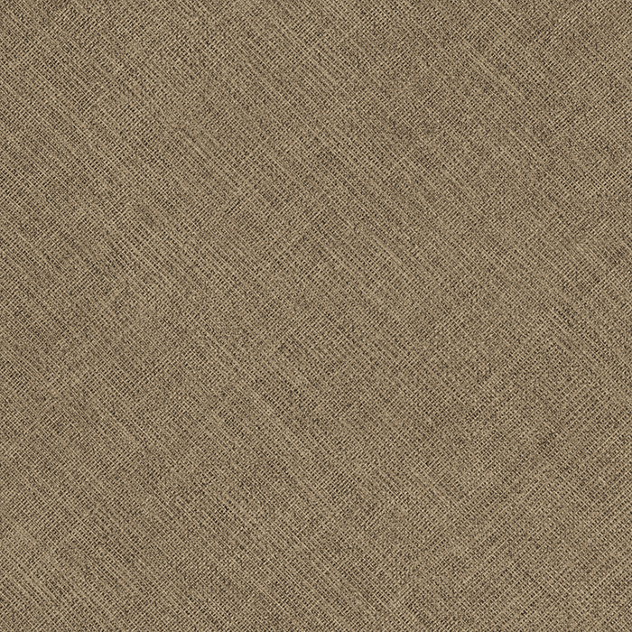 CG CF 5527 Real Fabric Brown