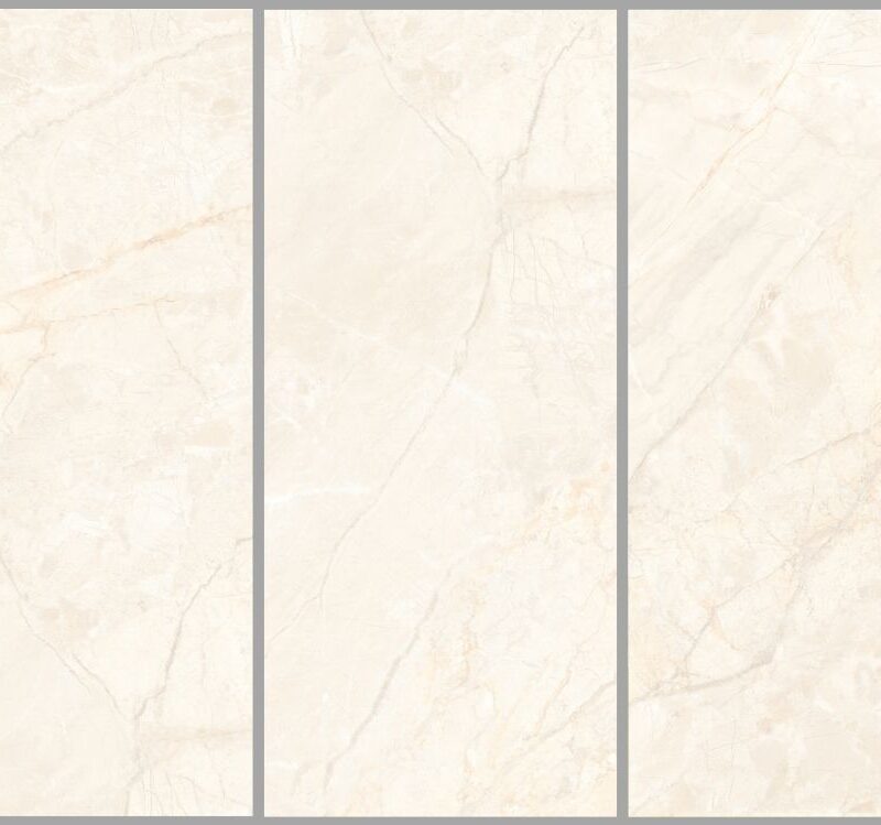 CORAL IVORY 1200x1200 High Glossy
