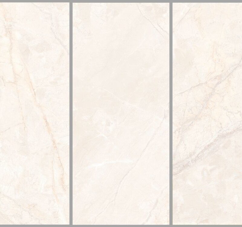 CORAL IVORY 800x800 Polish 1