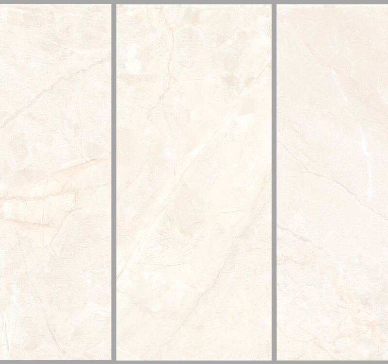 CORAL IVORY 800x800 Polish