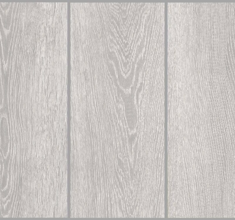 DAMA GREY 195x1200 Matt