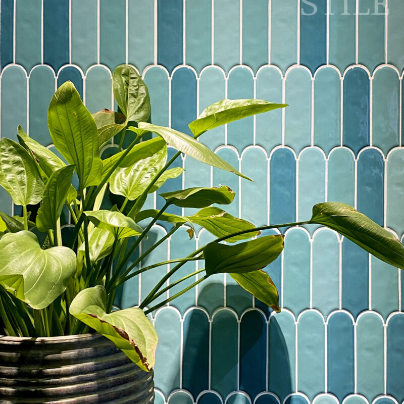 FEATHER 200x315 Preview