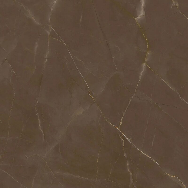 Pulpis The New Classtone