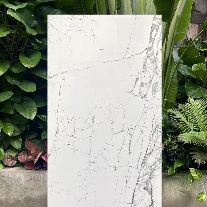 ROSALIA WHITE 800x1600 High Glossy Preview