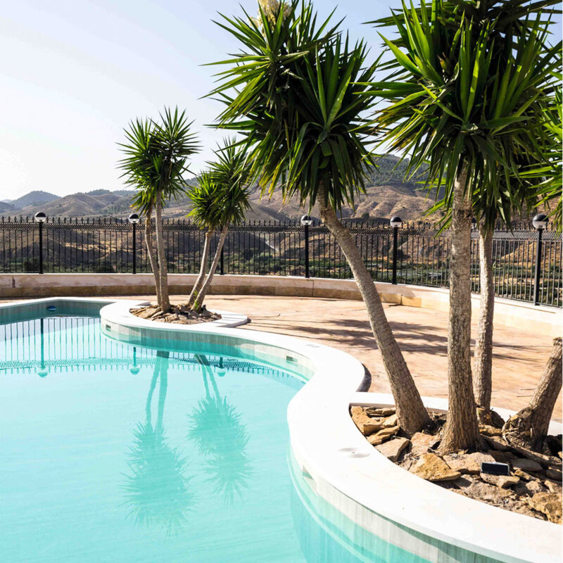 Srata Argentum The New Classtone Preview 3D