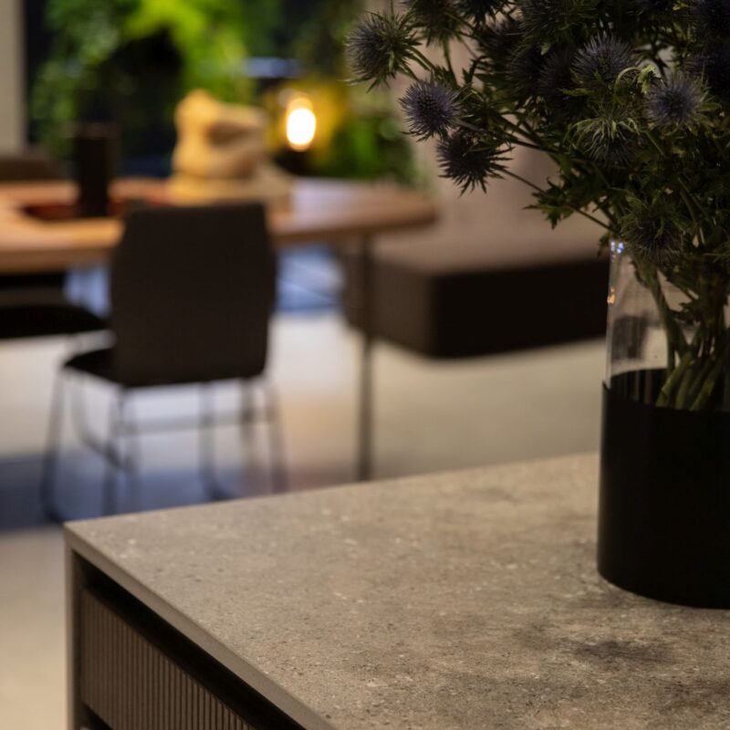 Wulong Fusion Preview 3D 1