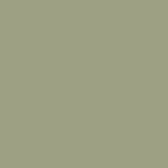 NG NF 2048 Olive Pale