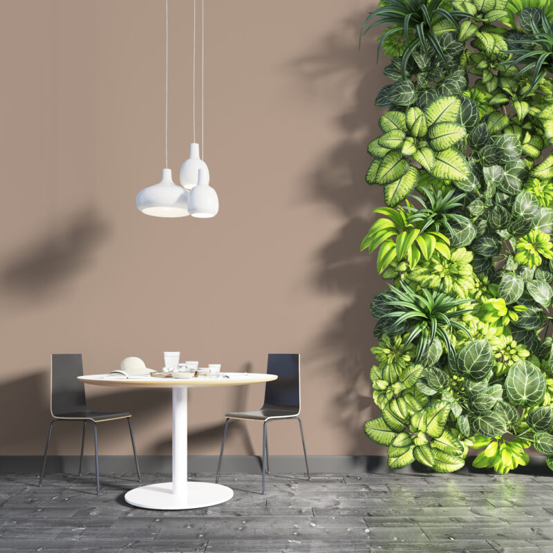 NG NF 2050 Camel Preview 3D