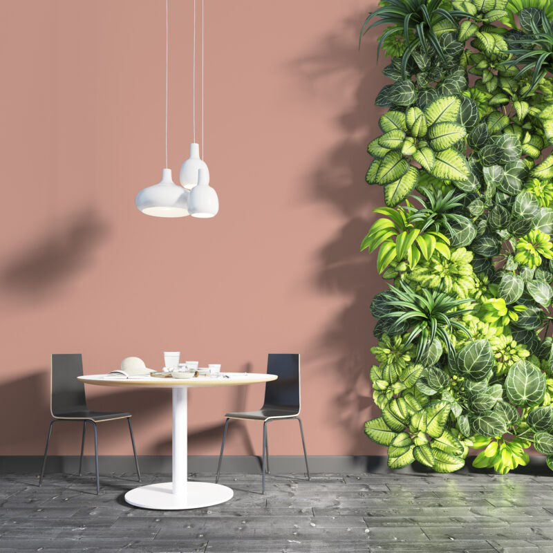 NG NF 2054 Coral Preview 3D