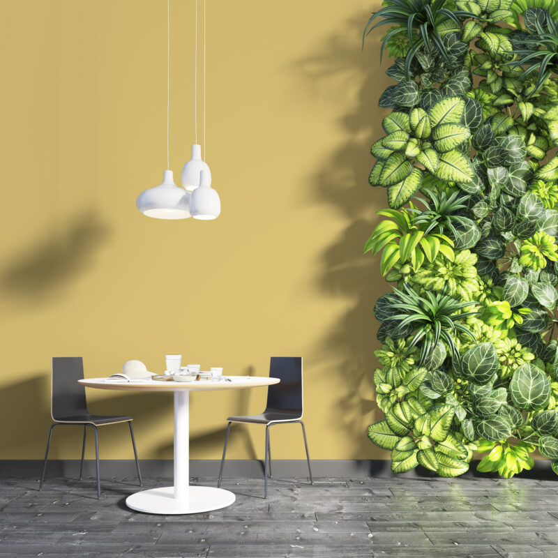 NG NF 2055 Mustard Yellow Preview 3D